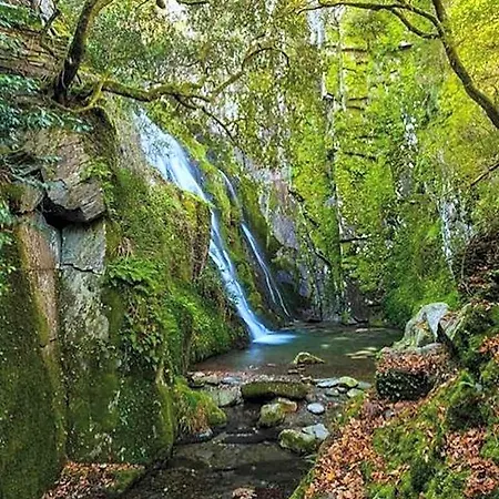 Fonte D' Amandos Arganil