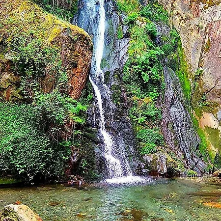 Fonte D' Amandos Arganil