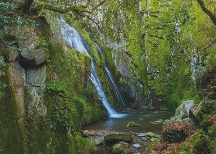 فندق مبيت وإفطار Fonte D' Amandos 3*